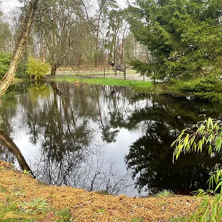 Haus Am Teich