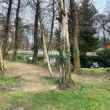 Apartment Haus Am Teich
