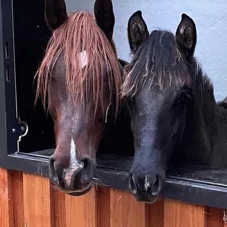 Haus Am Teich Apartament